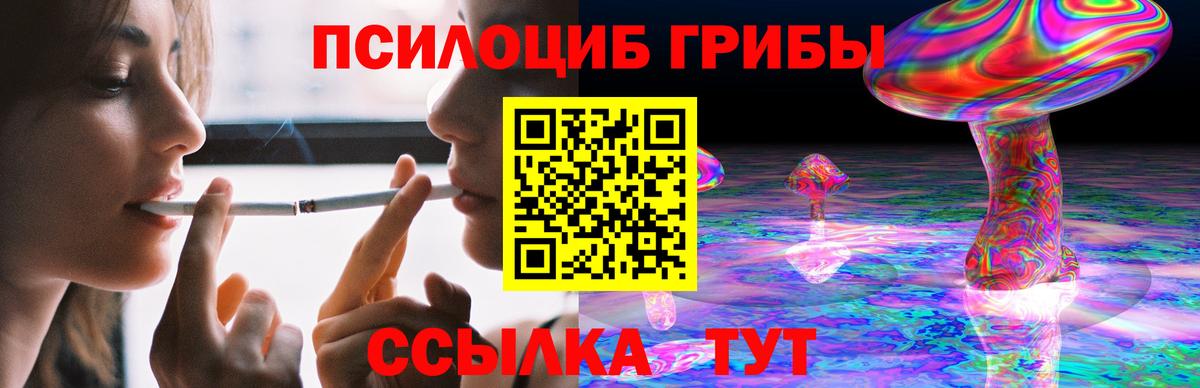 Галлюциногенные грибы Cubensis Лениногорск